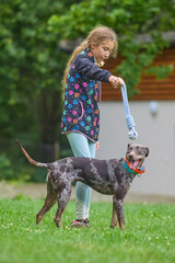 Nice young lady take care of her louisiana leopard dog friends