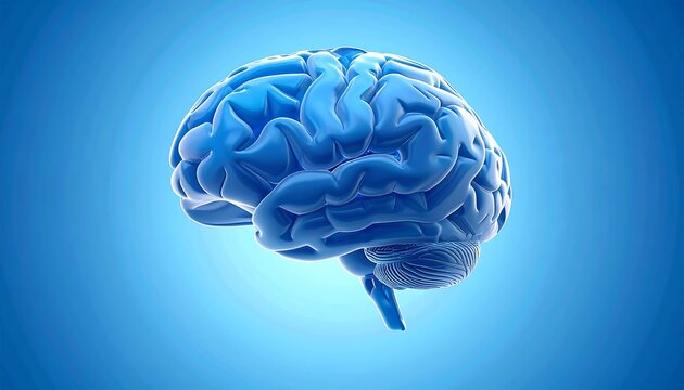Brain hydrocephalus diagram showing enlarged ventricles due to excess fluid on blue
