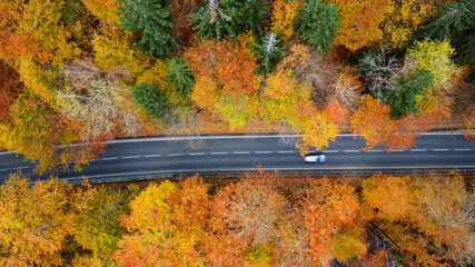 Aerial view of the road in the middle of the colorful autumn forest. Beautiful beech and spruce forest.