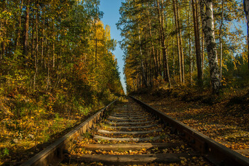 railroad in autumn forest