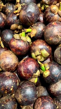 Pile of fresh mangosteen retail sale in local market. Manggis or mangosteen or garcinia mangostana or purple mangosteen is sweet, tangy and juicy. 