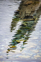 Window into the deep