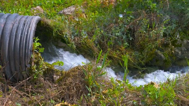 Fresh water flowing from drain pipe into small stream. Crystal-clear water flows from a large black corrugated plastic drain pipe into a small, natural stream surrounded by green grass