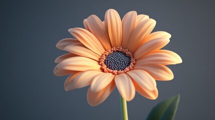 Close-up of a single, peach-colored gerbera daisy with soft focus and a subtle gradient background.