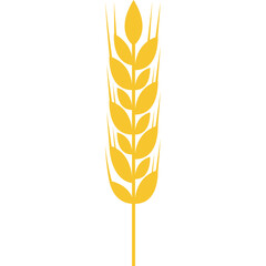 Golden Wheat Stalk isolated on white background graphic element for agriculture or food industry design