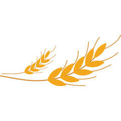 Golden Wheat Stalks Delicate Growth Isolated On White Background Representing Agriculture Harvest And Natural Beauty