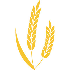 Golden Wheat Stalks Symbolizing Agriculture and Harvest on White Background
