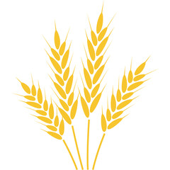 Golden Wheat Stalks Illustration Isolated on White Background With Transparent Background for Graphic Design Agriculture Concept