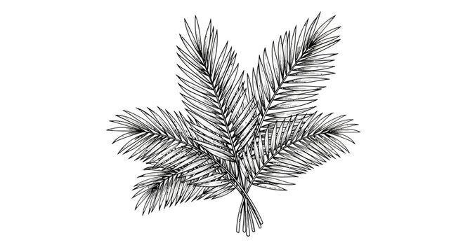 Elegant palm fronds illustration evoking tropical botanical vibes design