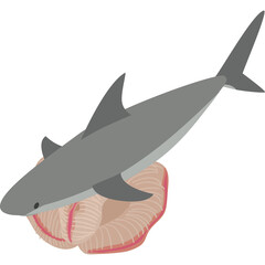 Gray Shark Swimming Above a Pink Shellfish Against a White Background Minimalist Illustration Style