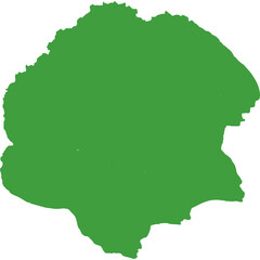 Green Abstract Organic Shape with Rough Edges Transparent Background Clean Design Element for Art and Nature Concepts