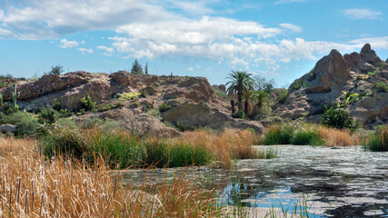 Ayer Lake located in Boyce Thompson Arboretum. Arizona