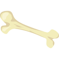 A light beige colored cartoon bone isolated on a white background with no discernible defects or other objects present
