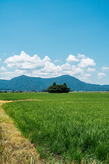 福井県大野市の山伏岩