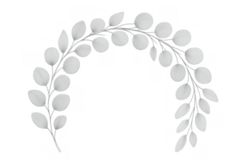 Eucalyptus silver dollar leaves creating a gentle half wreath, forming an elegant botanical arch or decorative frame element
