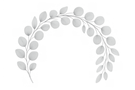 Eucalyptus silver dollar leaves creating a gentle half wreath, forming an elegant botanical arch or decorative frame element