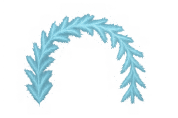 Blue spruce pine branch garland arch for winter christmas holiday decoration, transparent background