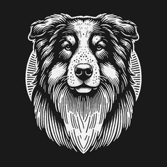 Intense Gaze of a Majestic Australian Shepherd Dog Portrait.