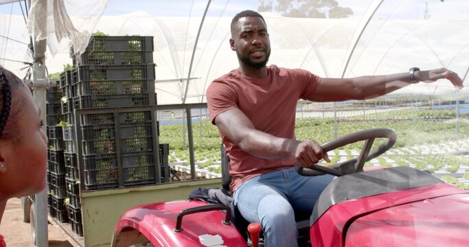 Riding farm worker steering red tractor inside greenhouse, with seedling trays, stacked crates