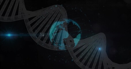 Fototapeta premium Winding wireframe DNA helix wrapping glowing Earth in digital space, with binary code lens flares