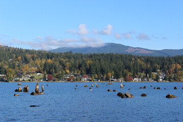 Lake Whatcom and foothills in fall