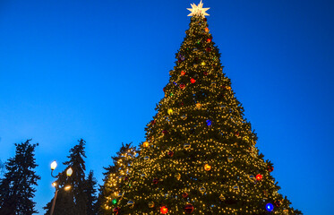Very tall Christmas tree adorned with bright golden lights and colorful ornaments is photographed at dusk. A glowing star sits at the top against a deep blue sky