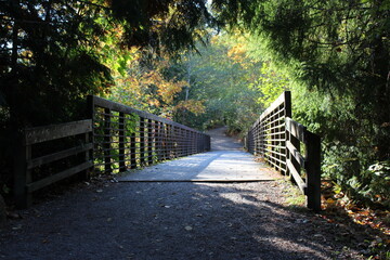 A bridge on a winding path through a fall colors park
