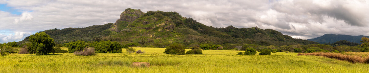 Fototapeta premium Panoramic view of the Kauai, Hawaii countryside near the town of Kapaa. Pasturelands and rocky hillsides are a common sight in this visually stunning tropical environment.