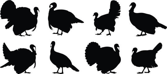 Turkey silhouette icons, black bird graphics, wildlife illustration set, Thanksgiving symbols, side and front views, minimal design, vector animal shapes