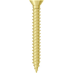 golden screw isolated on white