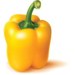 A Single Bright Yellow Bell Pepper With A Green Stem And Leafy Top Isolated On A Transparent White Background With Subtle Shadow