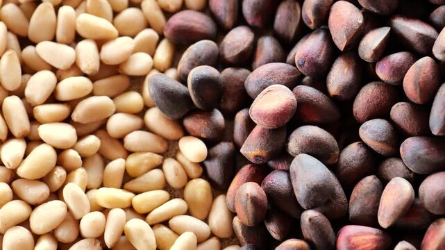 Close-up of pine nut kernels.Pine nuts in shells and peeled kernels. Healthy food and snacks.Healthy fats. 