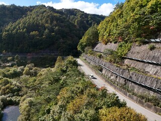 Fototapeta premium A road with trees on both sides and a car driving down it. The road is winding and the trees are lush and green