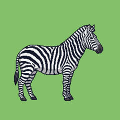 A pixel art illustration of a zebra standing in profile against a solid green background.
