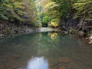 A stream of water is flowing through a forest. The water is calm and clear, reflecting the trees...