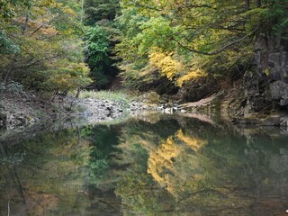 A stream of water with a reflection of trees and leaves. The water is calm and peaceful. The trees...