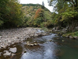 A river with a rocky shoreline and a forest in the background. The water is calm and clear