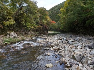 A river with a rocky shoreline and a forest in the background. The water is calm and clear, and the rocks on the shoreline are large and jagged. The scene is peaceful and serene