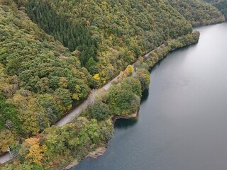 A beautiful view of a lake with a road running along its edge. The road is surrounded by trees and the water is calm. The scene is peaceful and serene, with the trees
