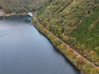 A beautiful lake with a forest on the other side. The water is calm and the trees are green