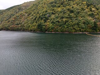 A body of water with trees in the background. The water is calm and clear. The trees are green and leafy