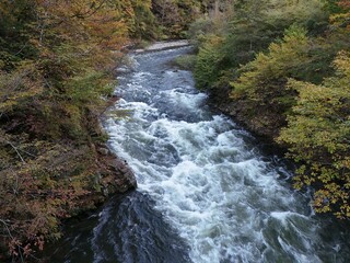 A river with a lot of water and leaves on the trees. The water is very clear and the leaves are orange