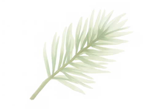 Watercolor tropical palm branch creating botanical decor with lush green foliage, isolated on transparent background