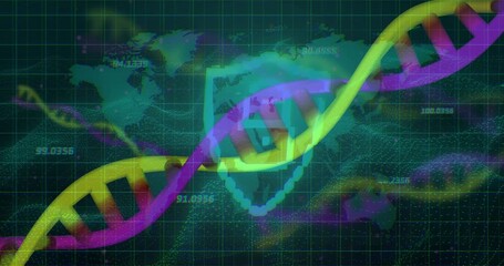 Map grid flickering sending two colored DNA helices weaving around shield emphasizing data security - Powered by Adobe