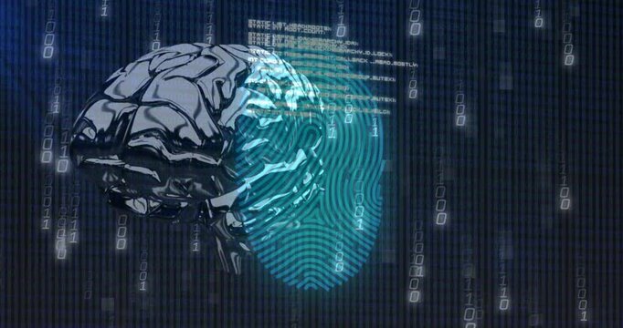 Opening chrome brain rotating, streaming binary digits, fading code blocks and pulsing fingerprint - Powered by Adobe