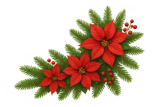 Christmas poinsettia flowers and pine branches with red berries, creating a festive holiday corner decoration on transparent background