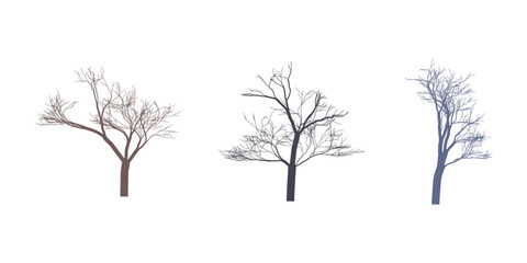 Three Isolated Bare Trees Against White Background Representing Winter Season and Minimalist Natural Design Elements