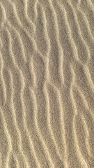 Wind patterns on desert sand 