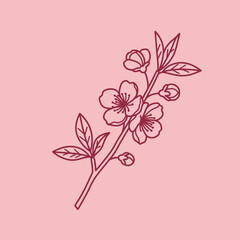 Minimalist line art illustration of a blooming plum blossom branch. A vector graphic with a clean, flat design aesthetic for botanical themes