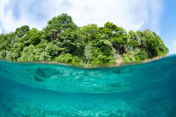 Fototapete bei efototapeten.de bestellen   